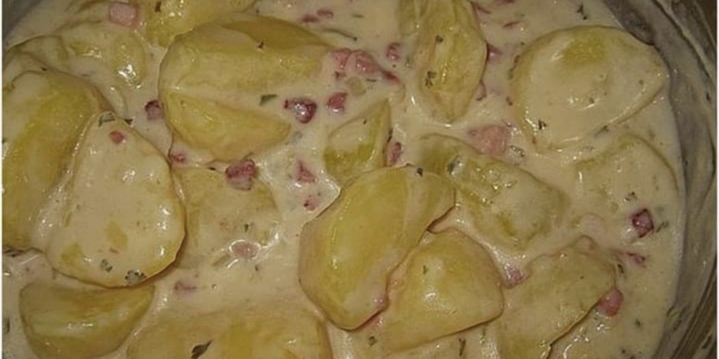 Bechamel – Kartoffeln – REZEPTE UND BACKEN